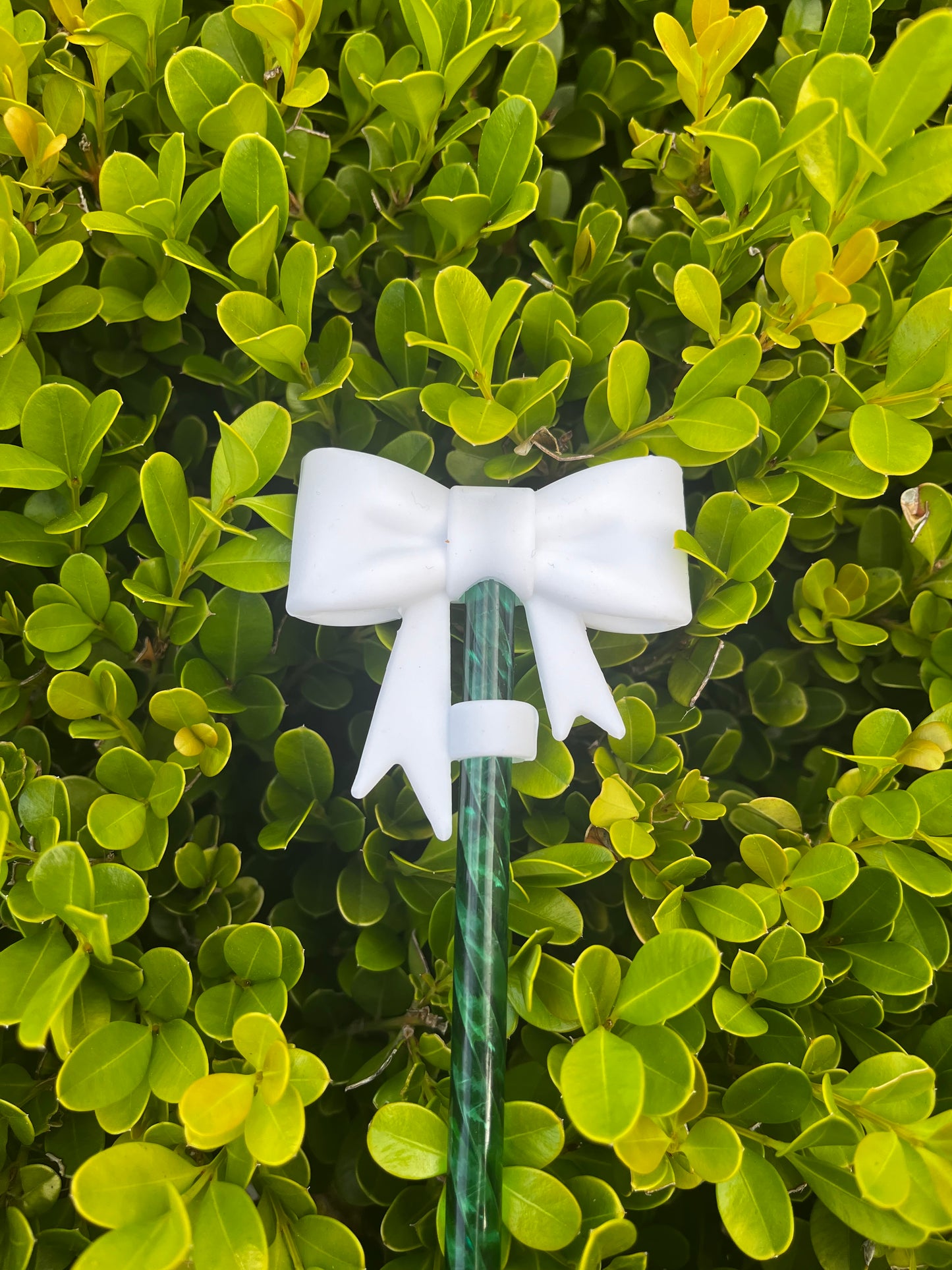 Bow Straw Cover