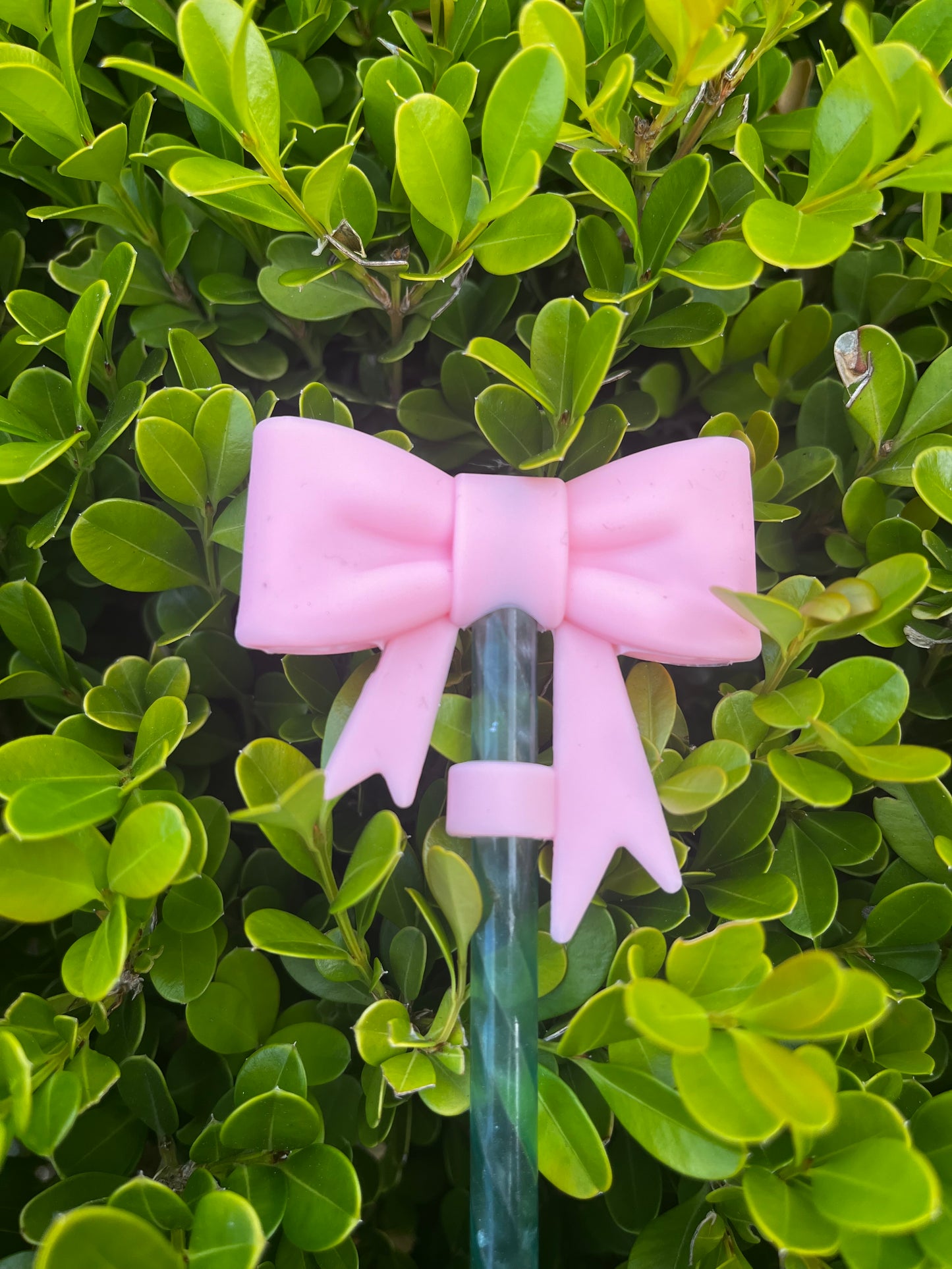 Bow Straw Cover