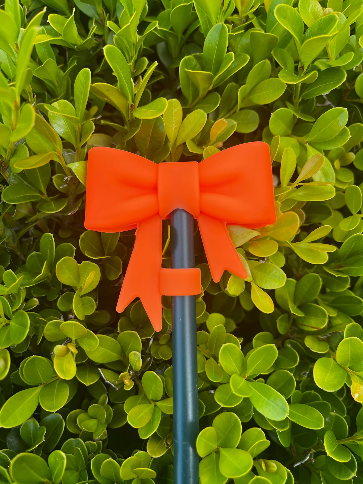 Bow Straw Cover